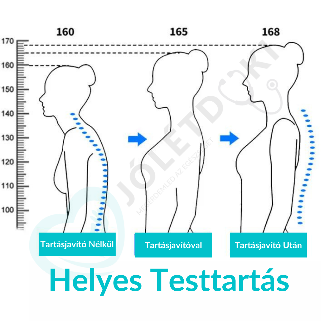 Tartásjavító- Hátfájdalom Ellen (Több Méretben)