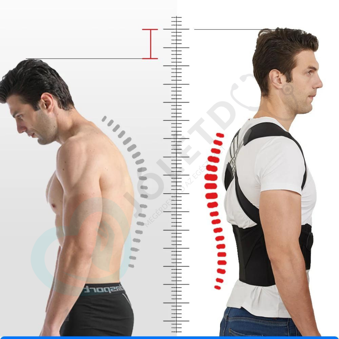 Tartásjavító- Hátfájdalom Ellen (Több Méretben)